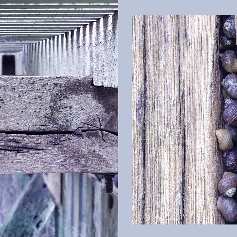 Een tweeluik gemaakt in Westkapelle, Zeeland: een doorkijkje onder de steiger en alikruiken in één van de staanders. 
