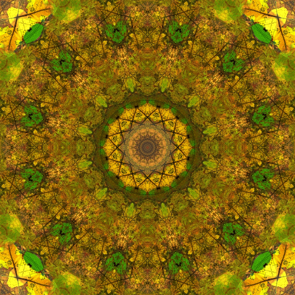 Mandala 8