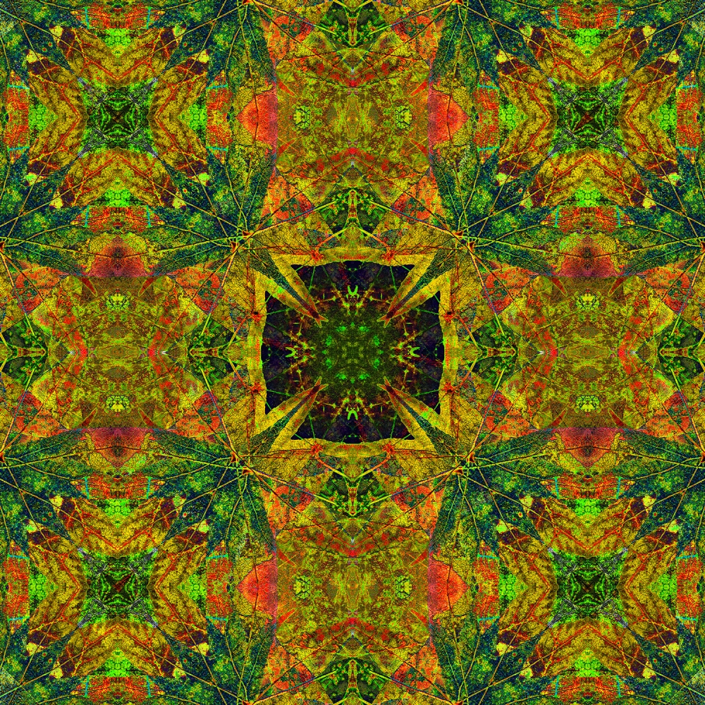 Mandala 13