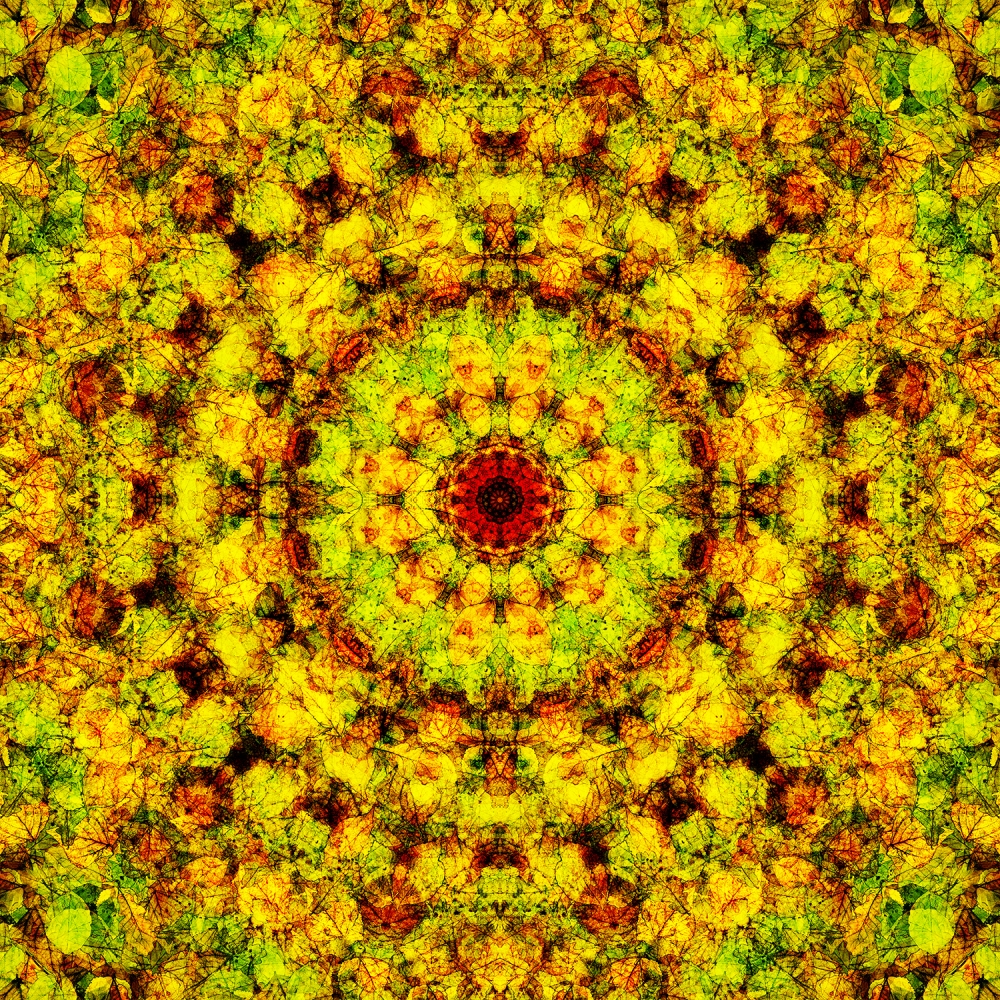 Mandala 5
