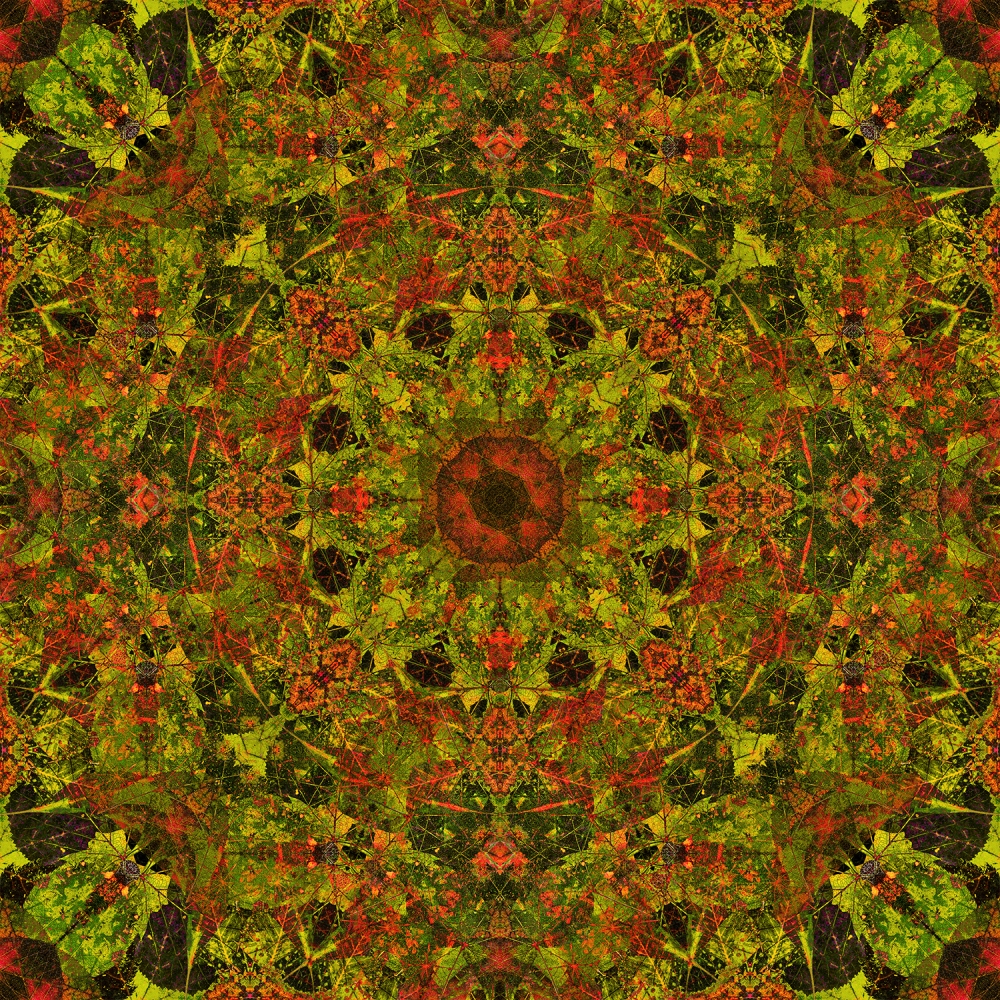 Mandala 7