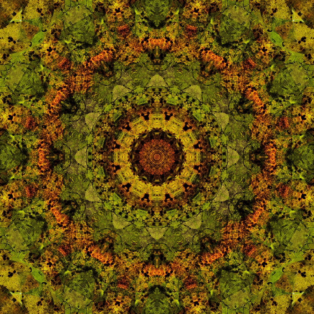 Mandala 9
