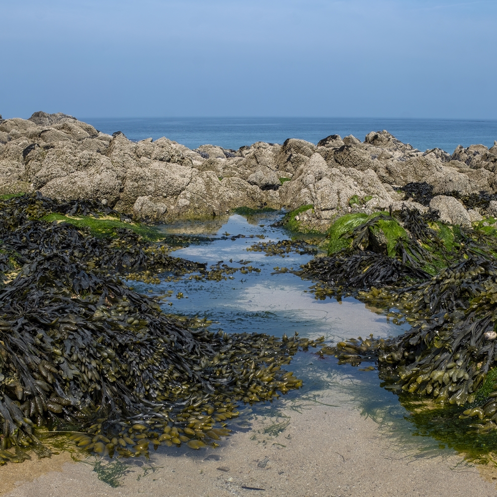 Een opvallend strandlandschap in de buurt van Cap Fréhel.