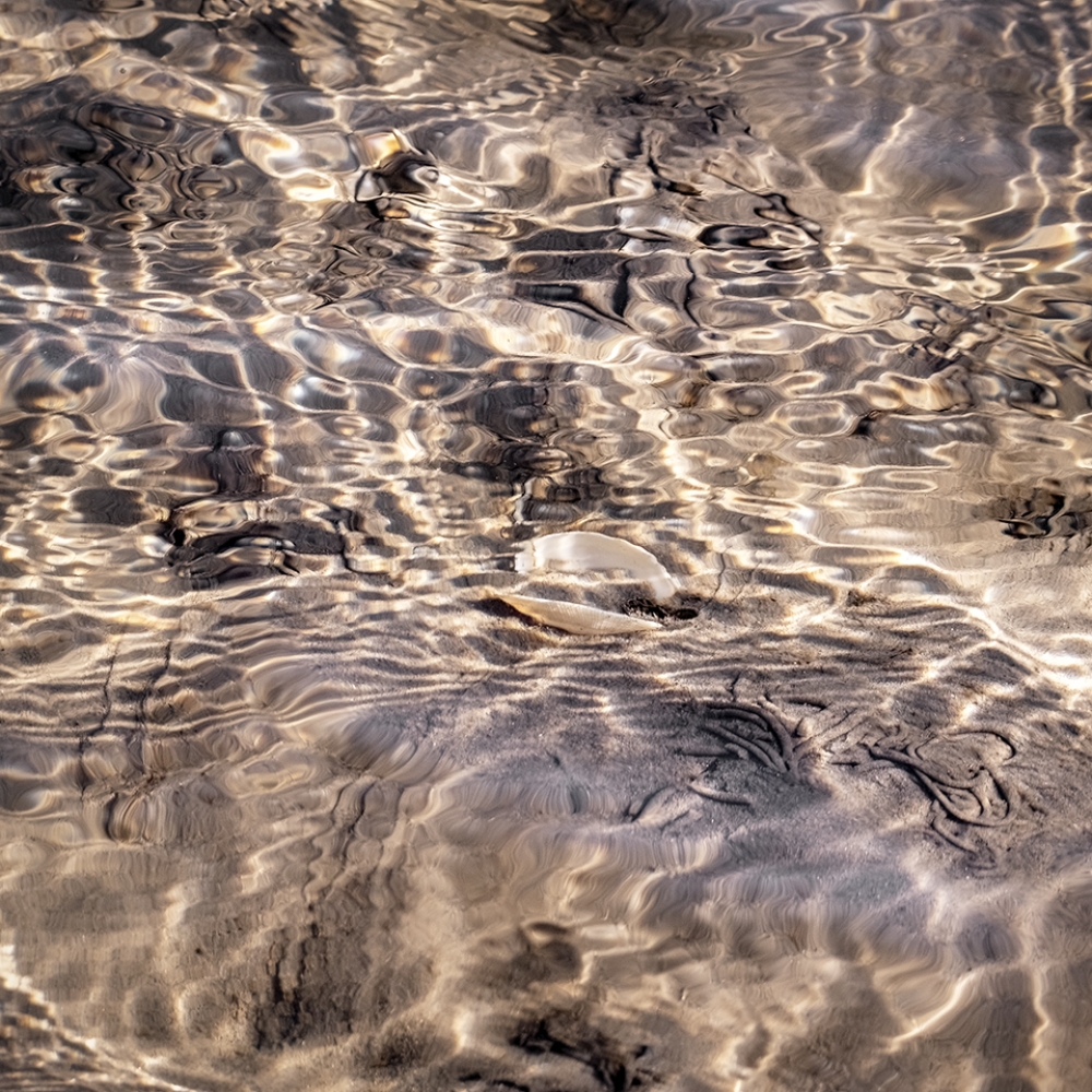 Een bijna abstract beeld van een schelp in een stromend geultje.